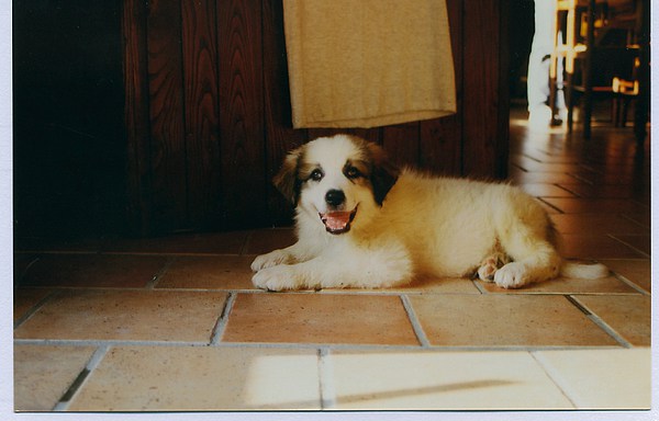 med_Perfekt geschminkt.jpg (600 x 384)